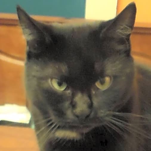 Photo of Misce