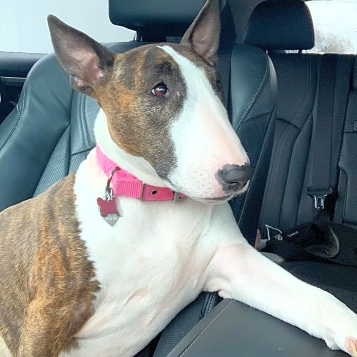 Photo of Gwen