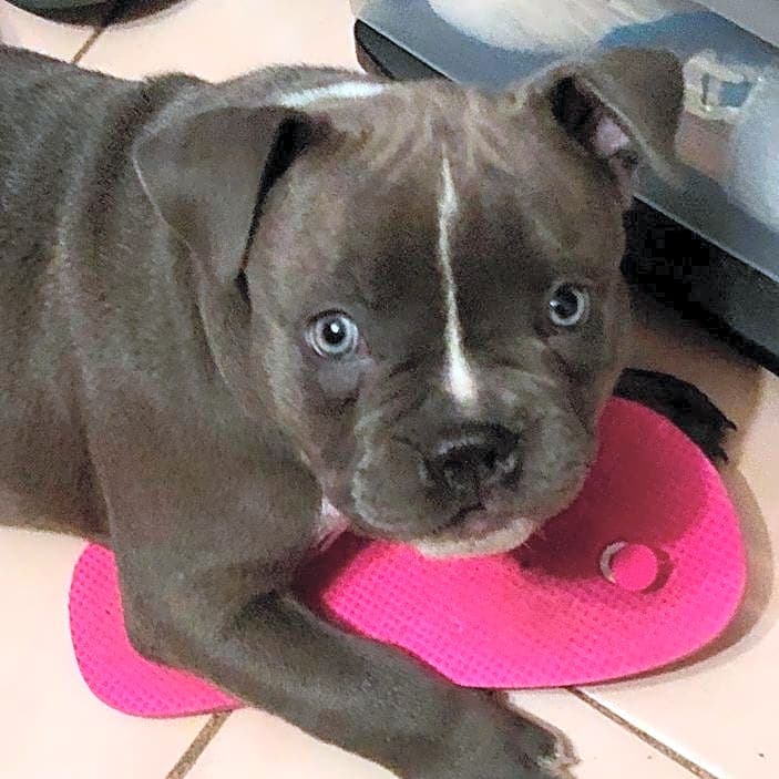 Photo of Baby