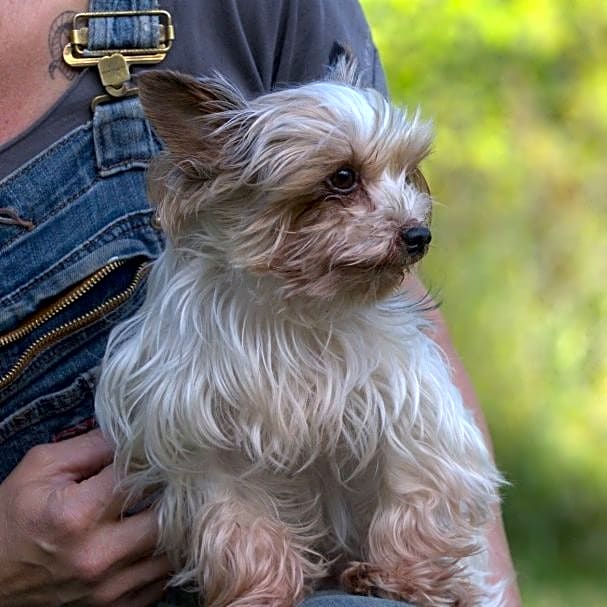 Photo of Tucker