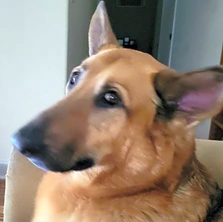 Photo of CAS