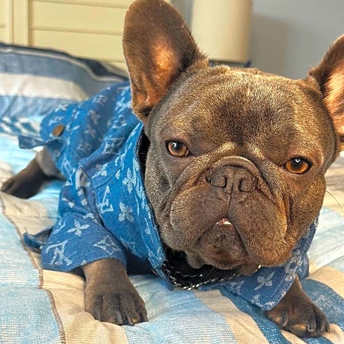 Photo of Bentley