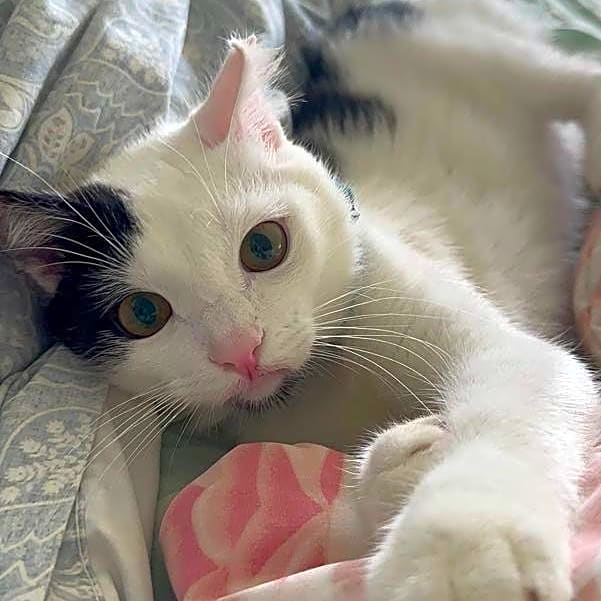 Photo of Inkjet