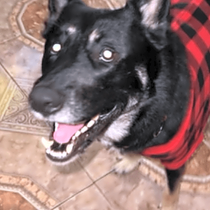 Photo of Steven