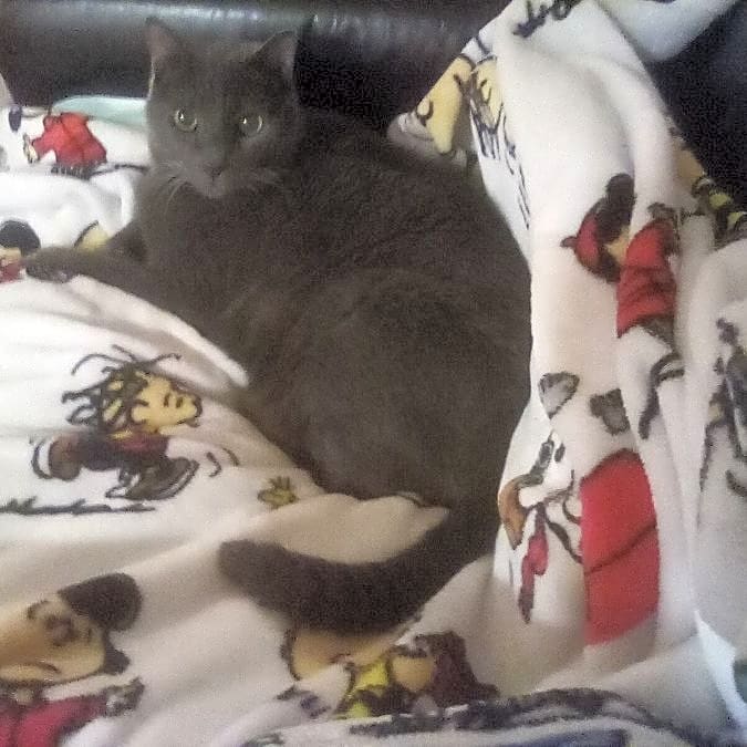 Photo of Keiki