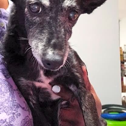 Photo of Tiny