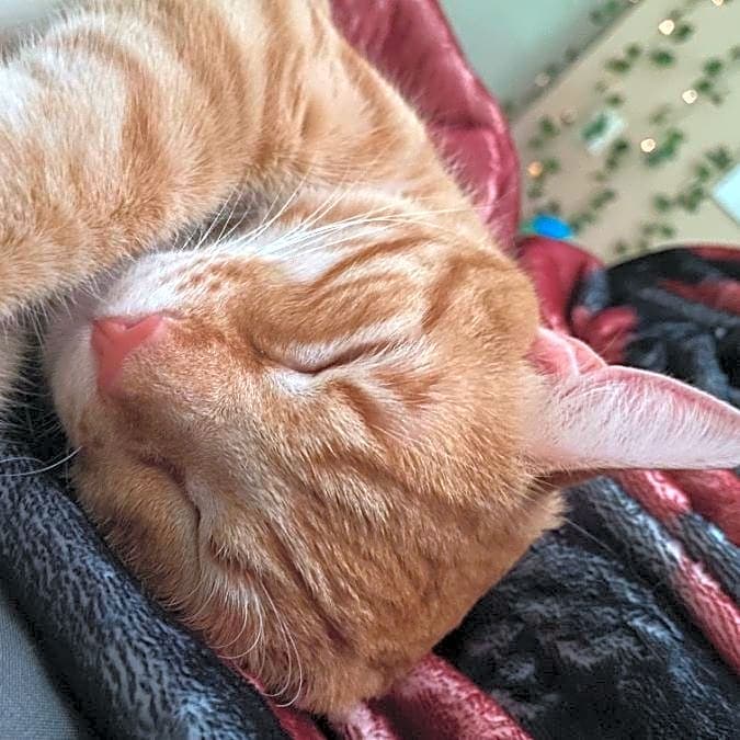 Photo of Boots
