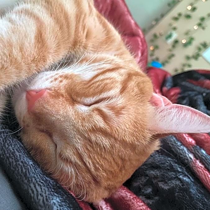 Photo of Boots