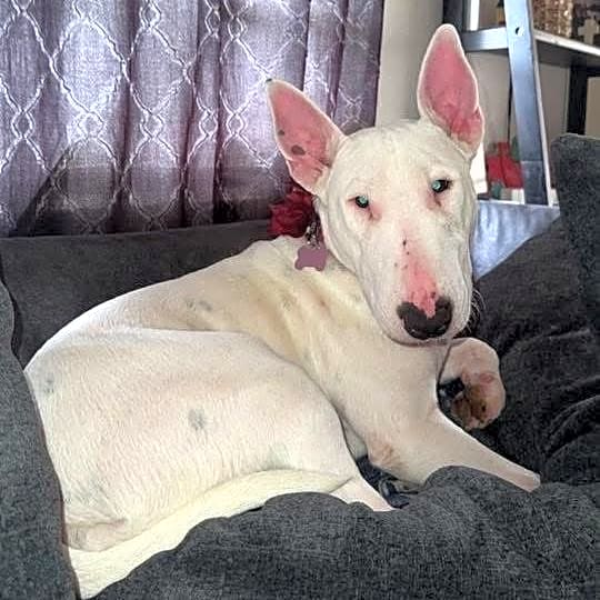 Photo of Roxy