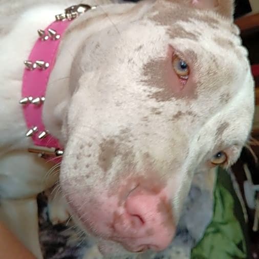 Photo of Dottie ann