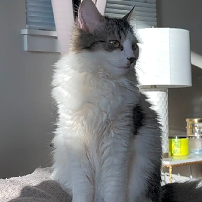 Photo of Mila