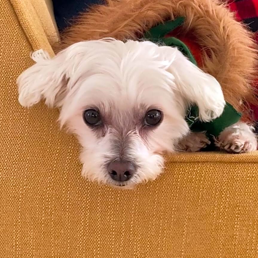 Photo of Luigi