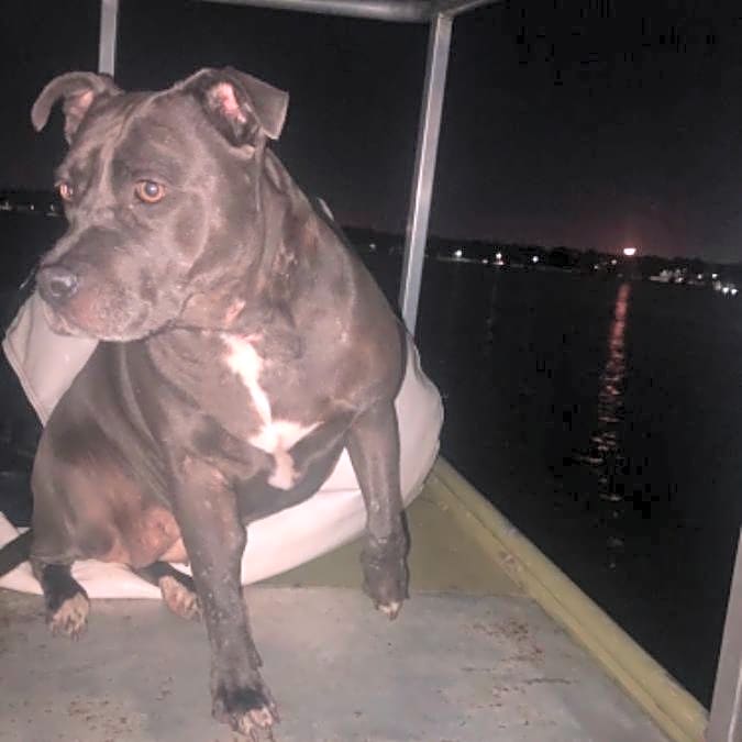 Photo of Bonnie