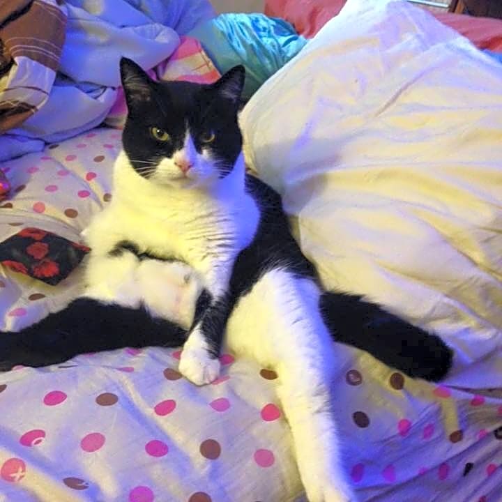 Photo of Felipe