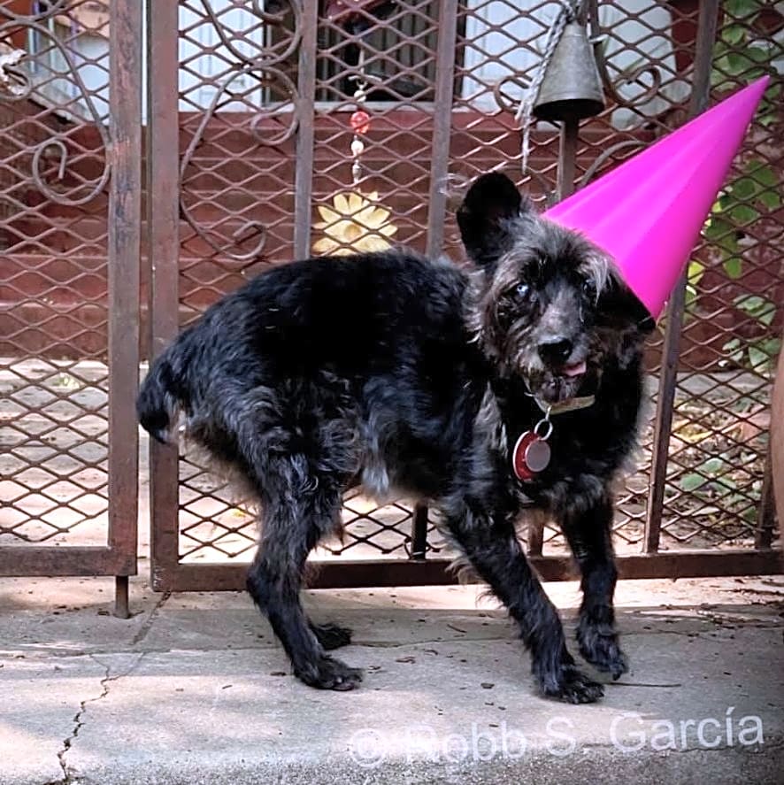 Photo of Buddy Garcia