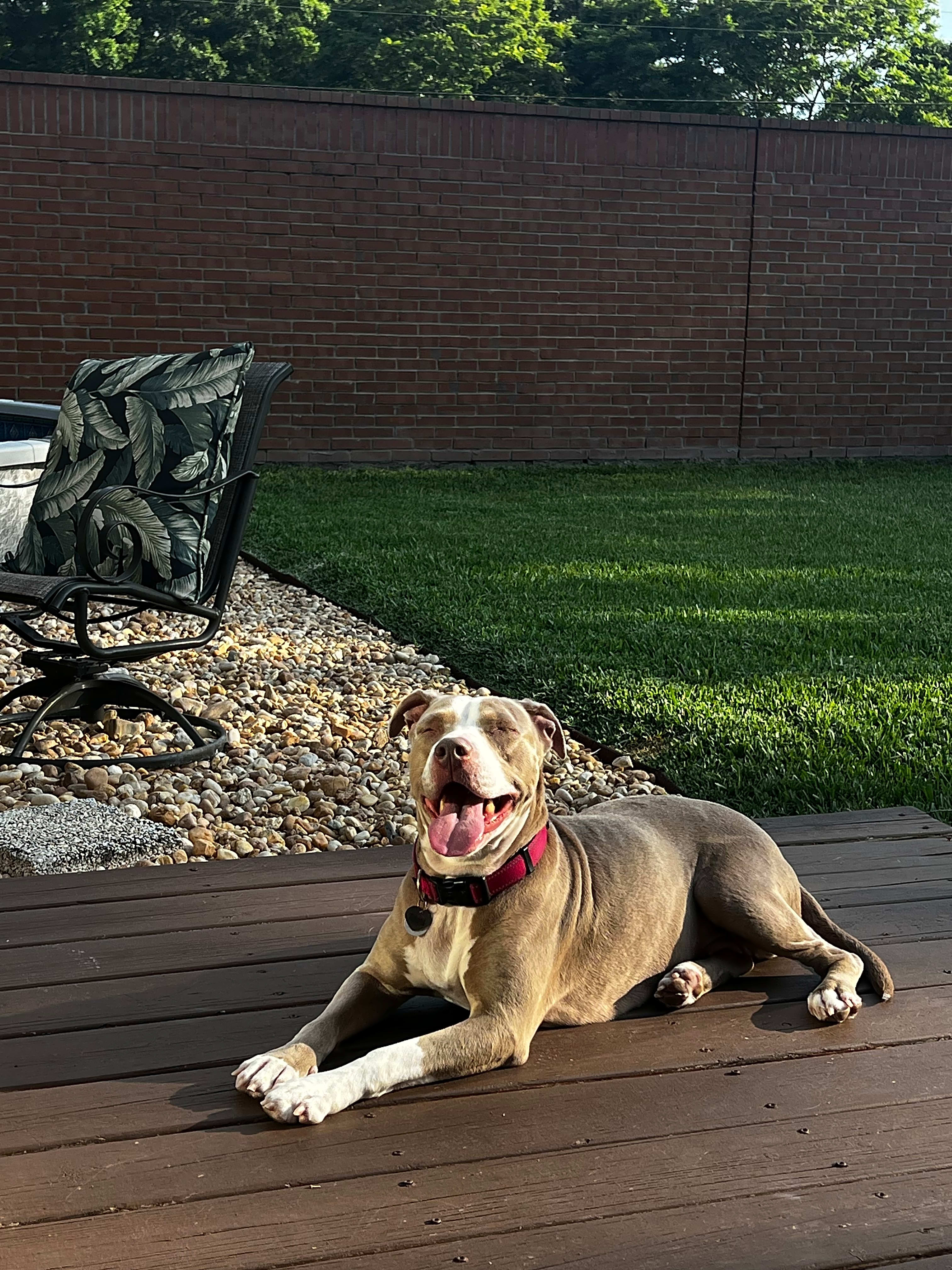 Photo of Athena
