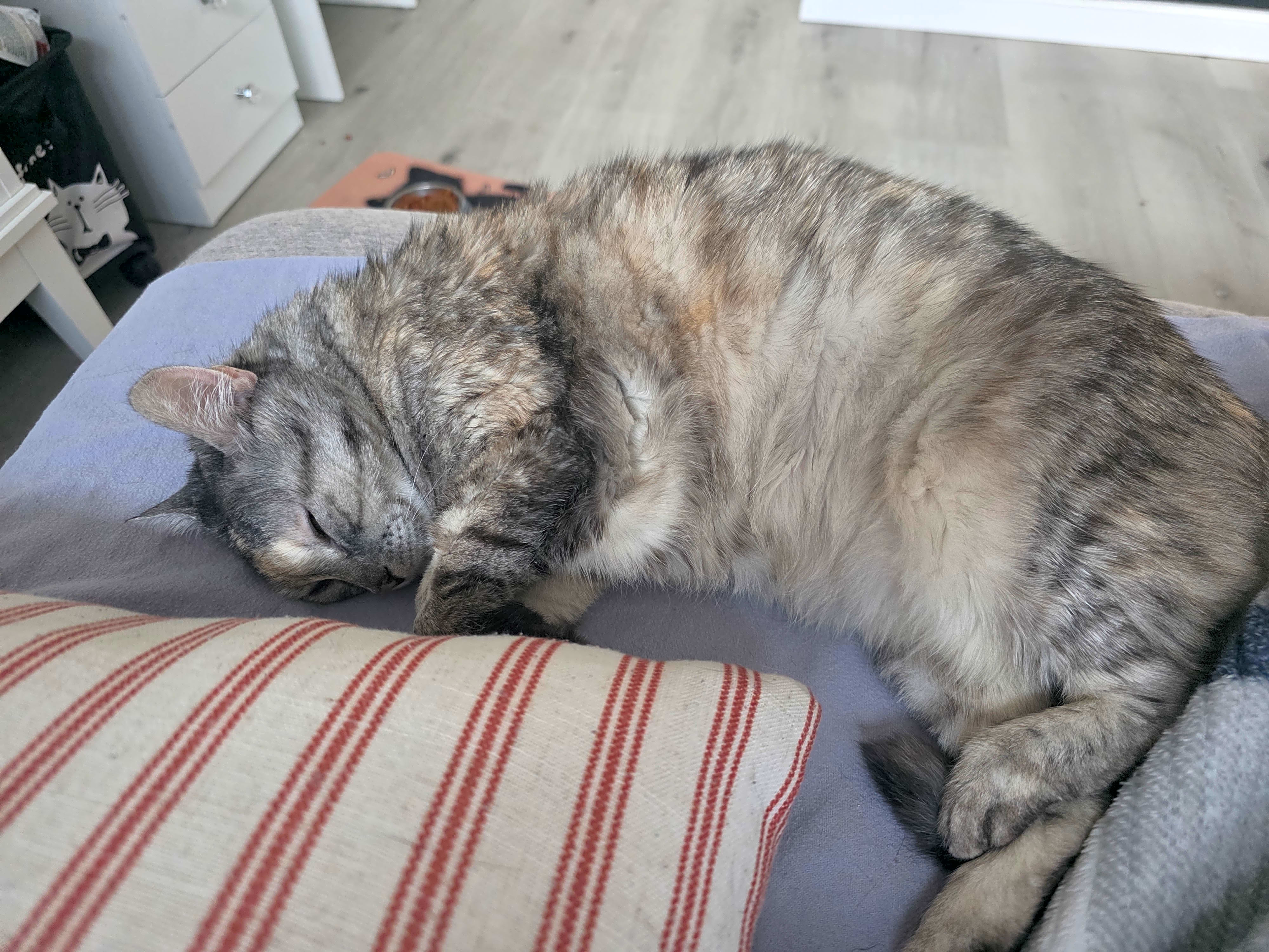 Photo of Pinky