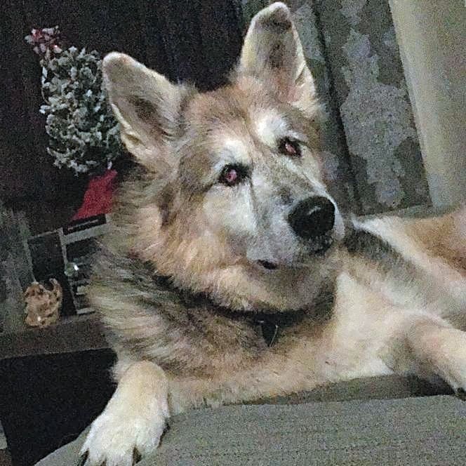 Photo of Angel