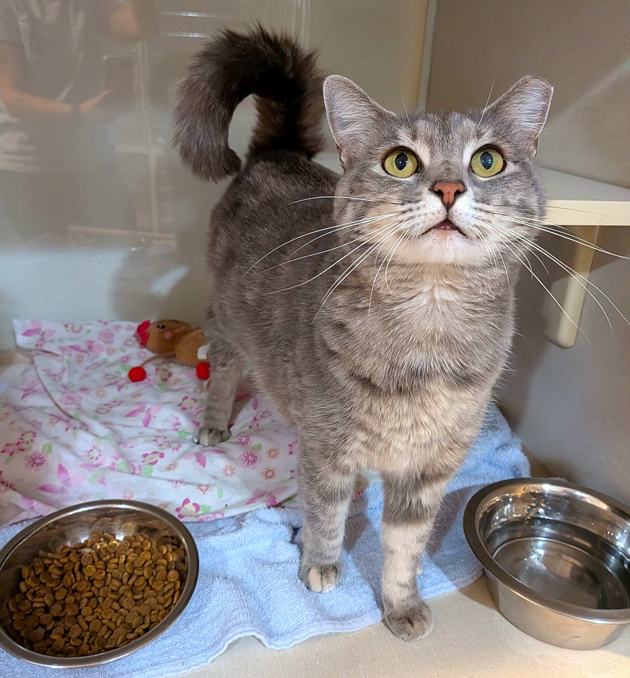 Photo of Luna