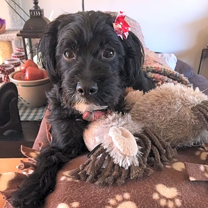Photo of Cabela