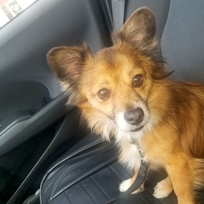 Photo of Pablo