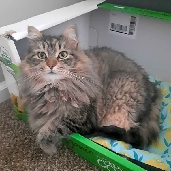 Photo of Winnie
