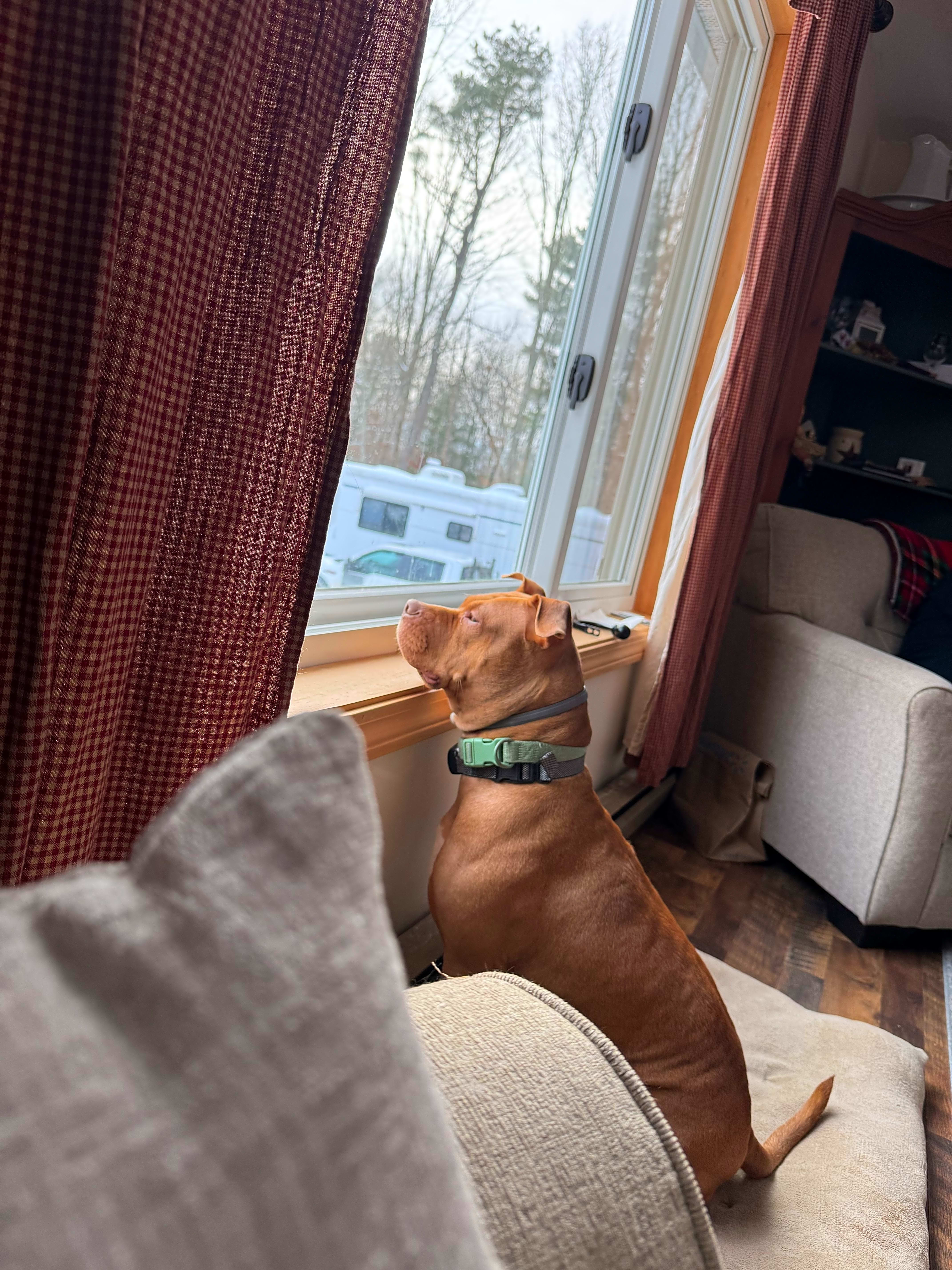 Photo of Lola