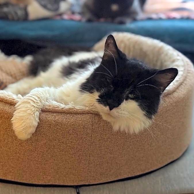 Photo of Jasper
