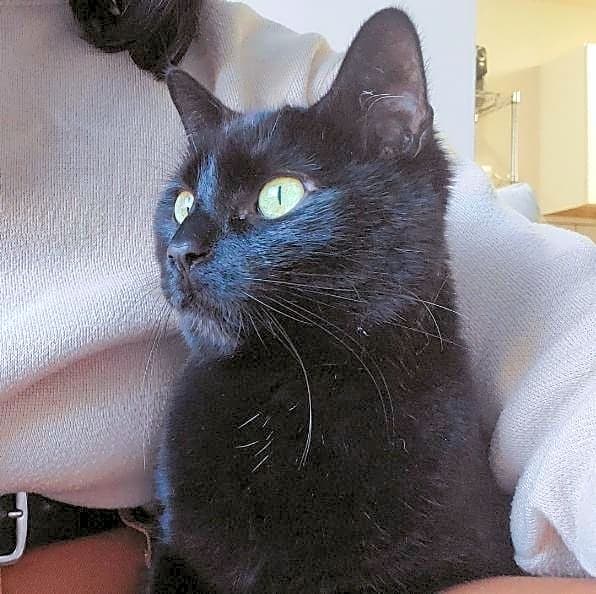 Photo of Margot