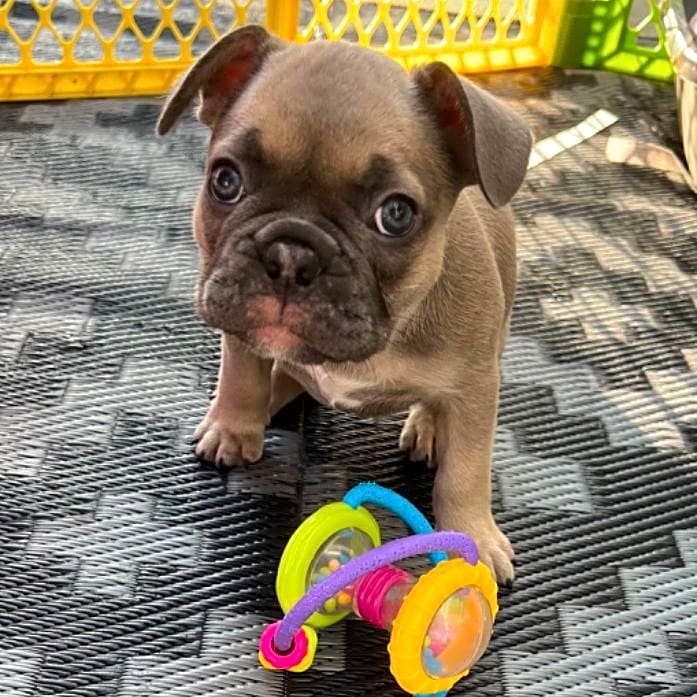 Photo of Finn