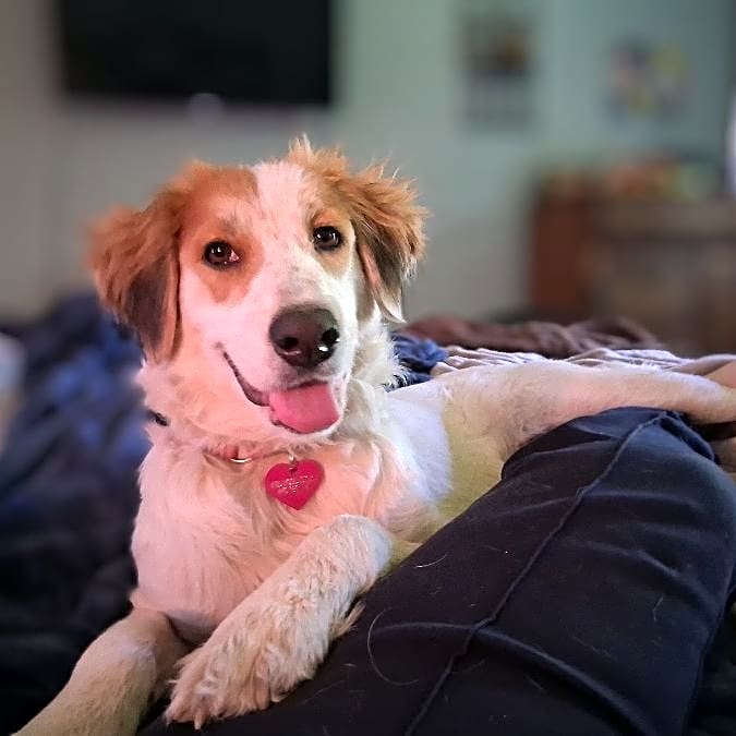 Photo of Chloe