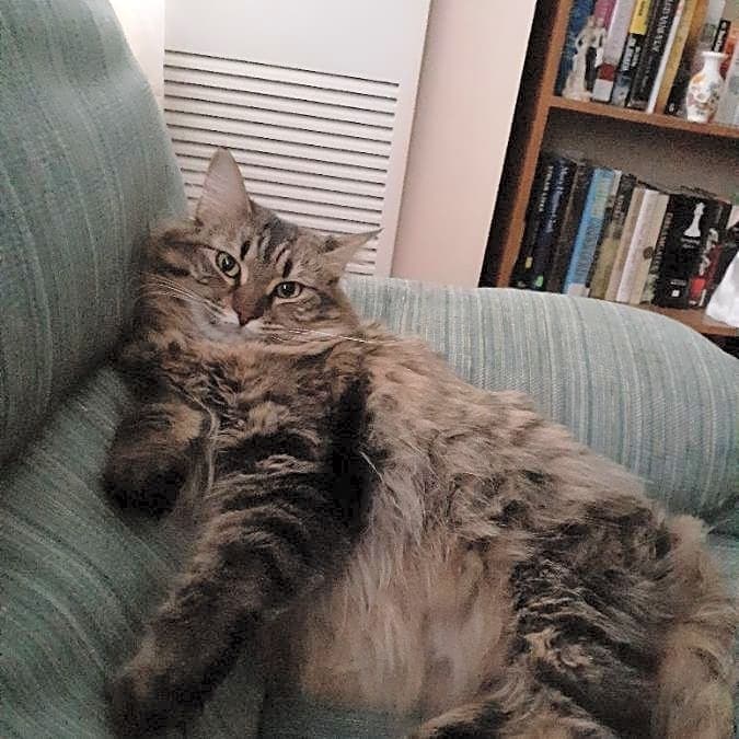 Photo of Flossy