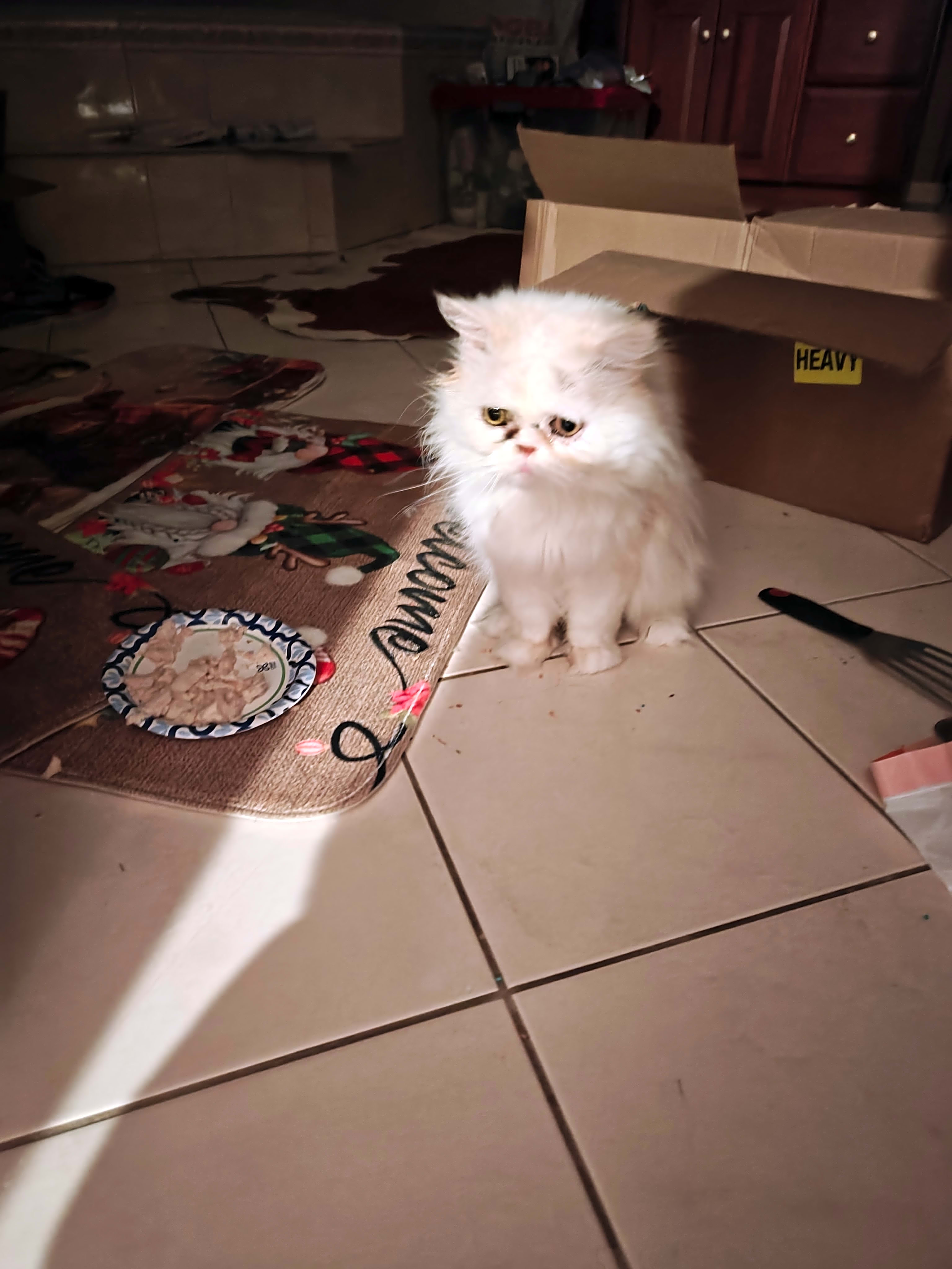 Photo of Mike