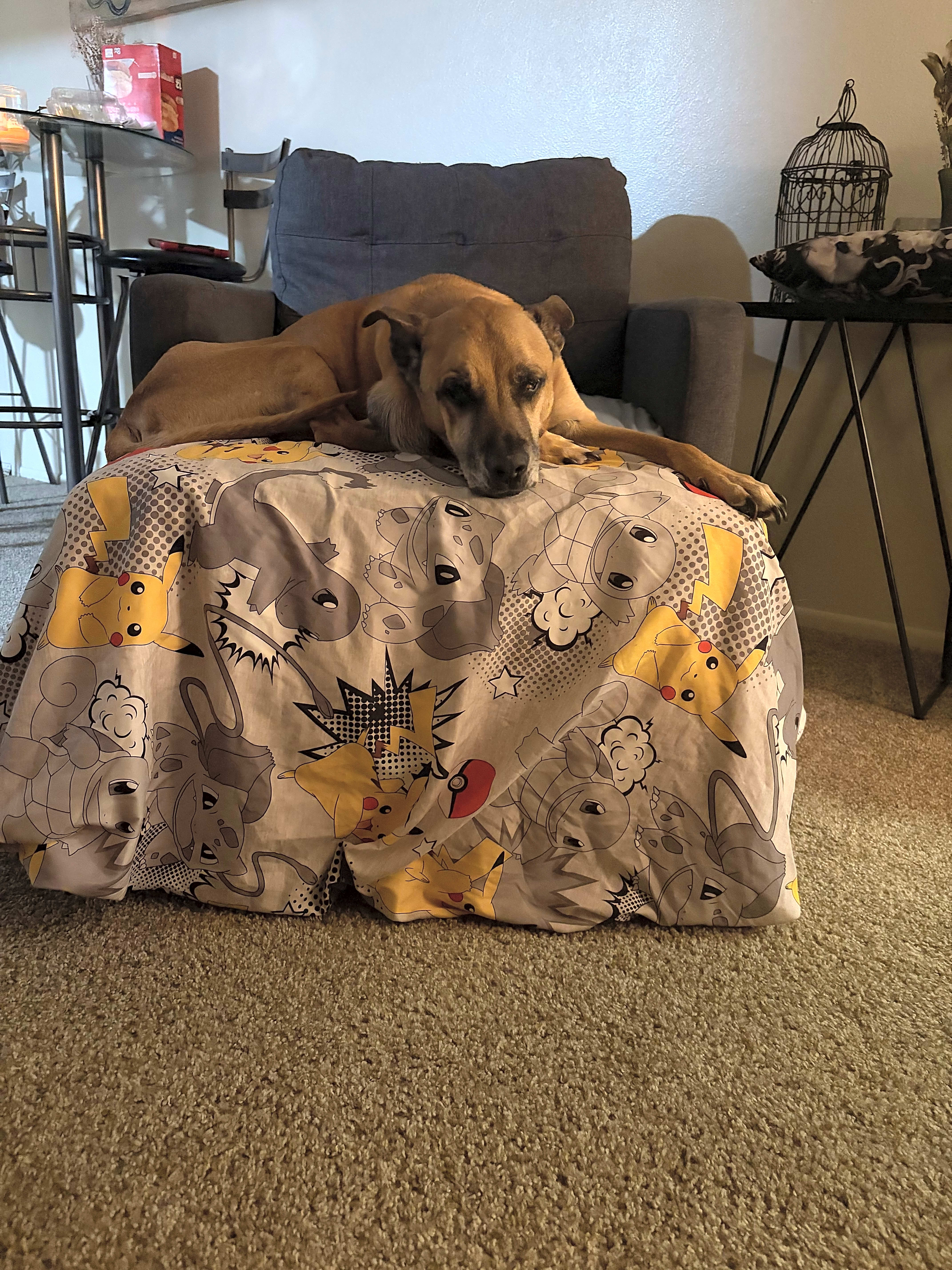 Photo of Jack