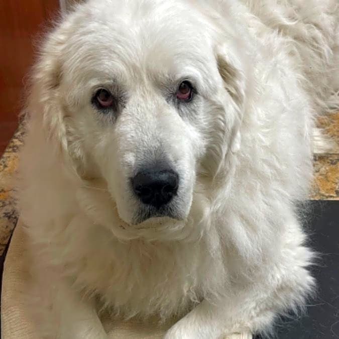Photo of Big Momma