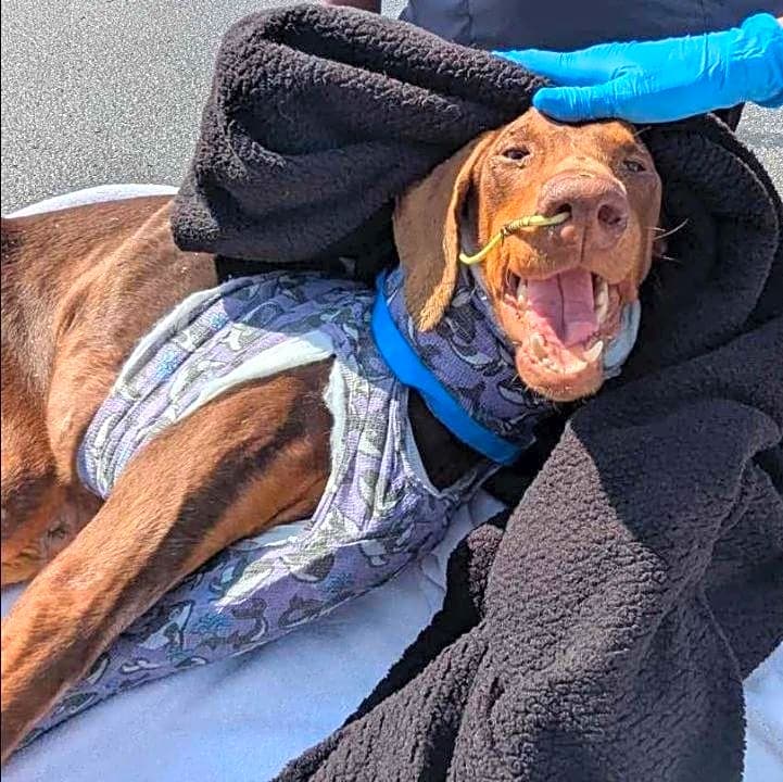 Photo of Reggie