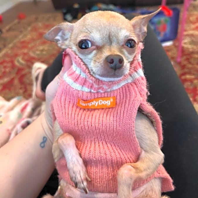 Photo of Yoshi