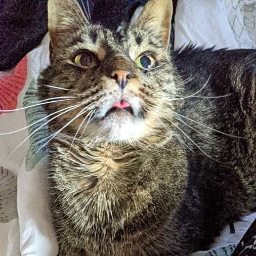 Photo of Spooky
