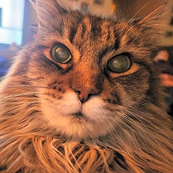 Photo of Minnie