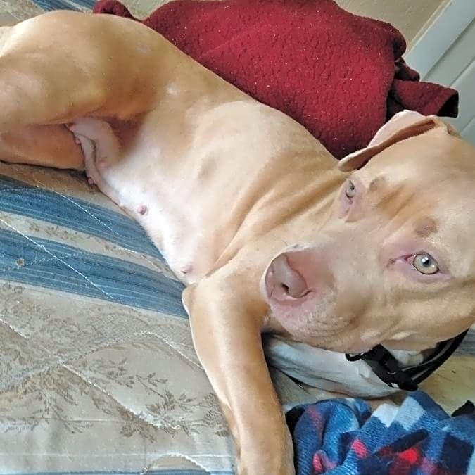 Photo of Bebe