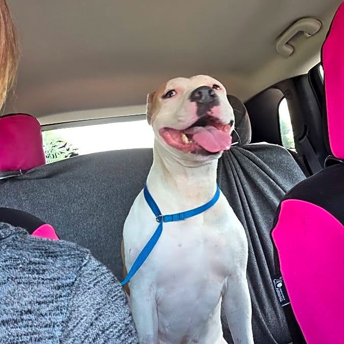 Photo of Daisy