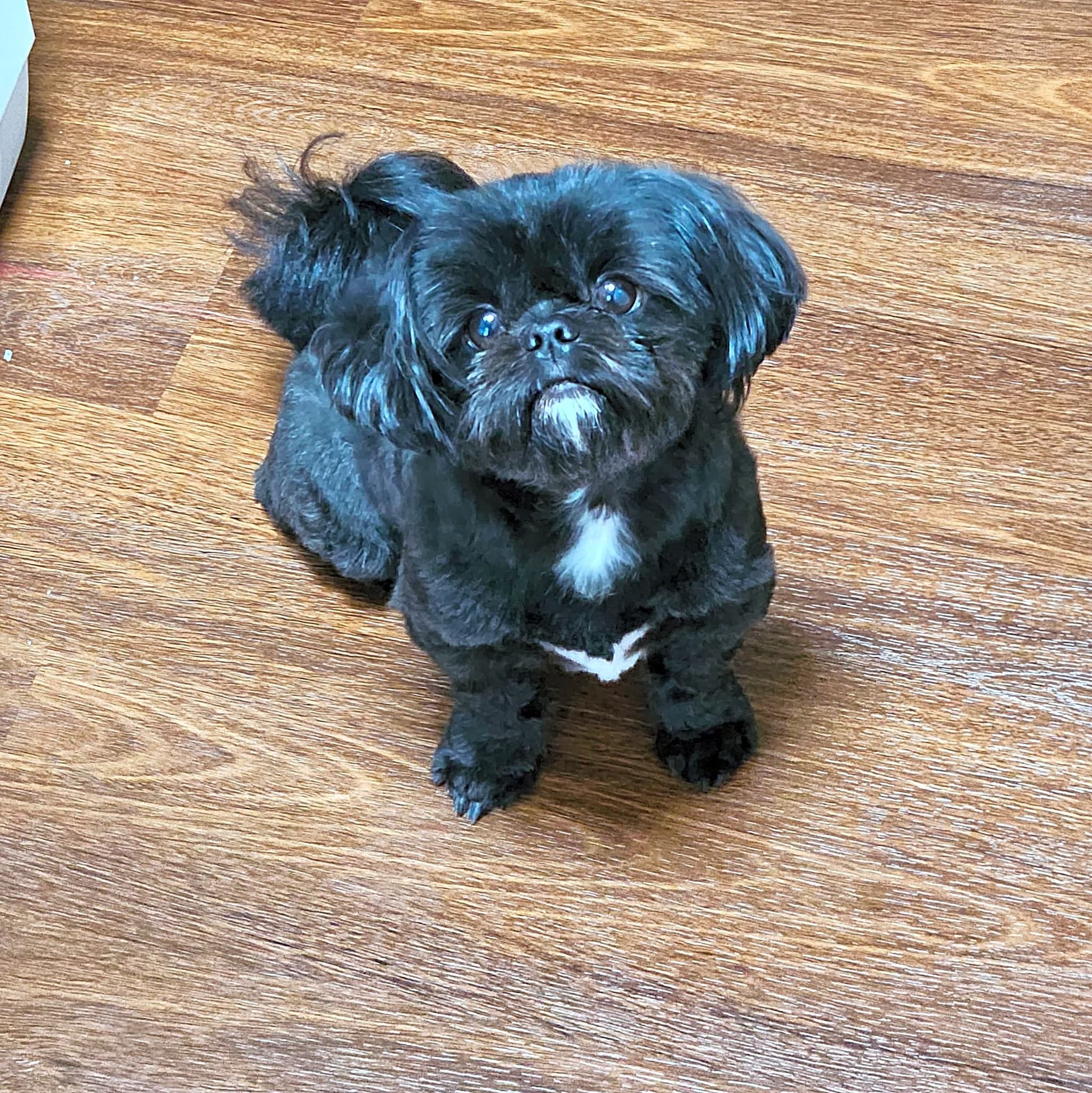 Photo of Murphy