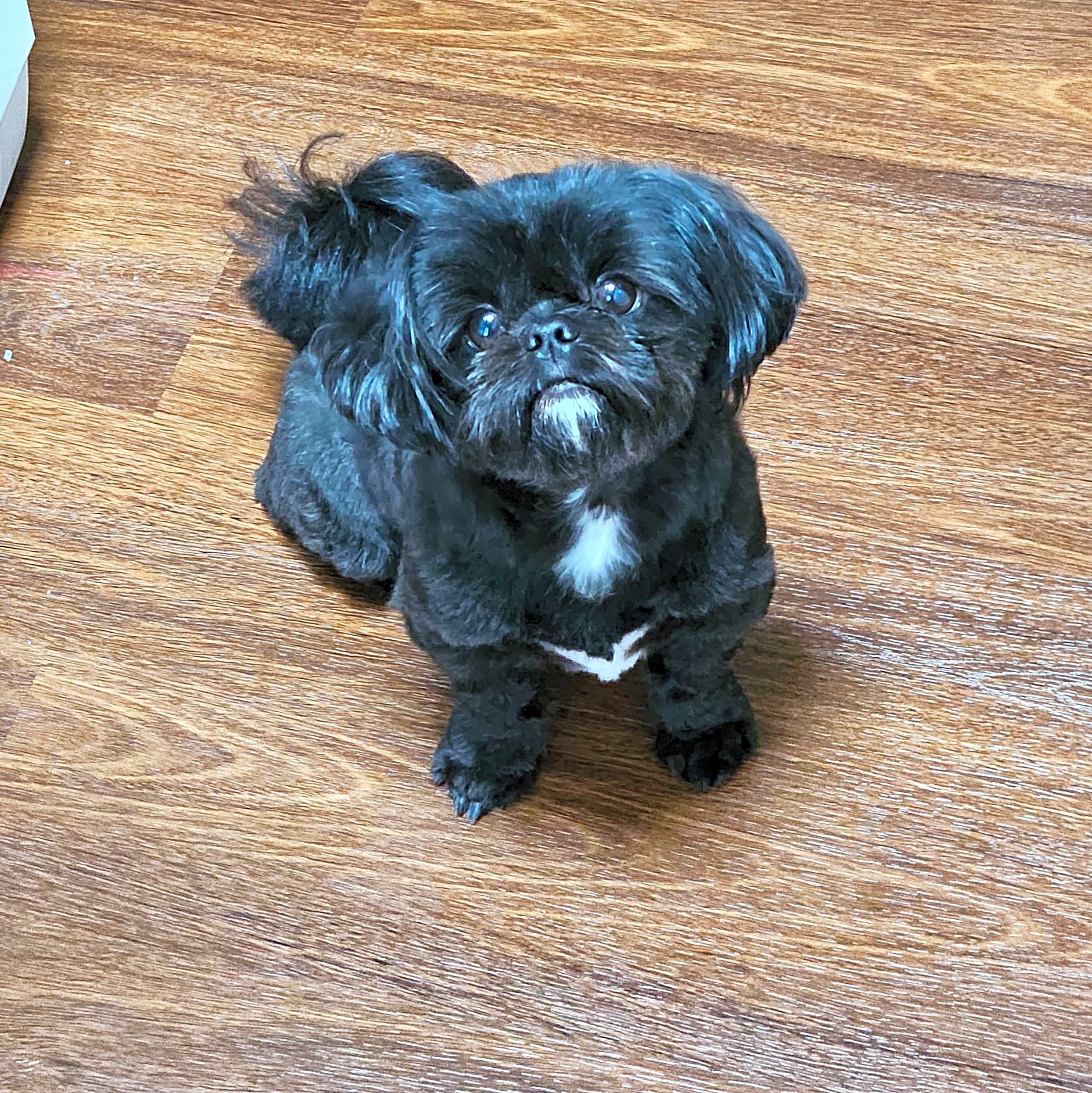 Photo of Murphy