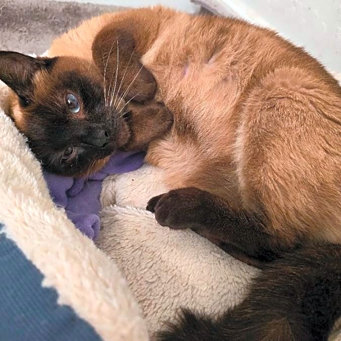 Photo of Sophia