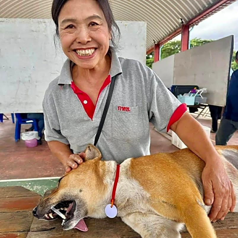 Photo of Dog Spay/Neuter Day