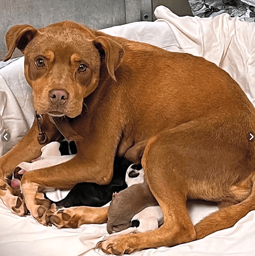 Photo of Mama Reese