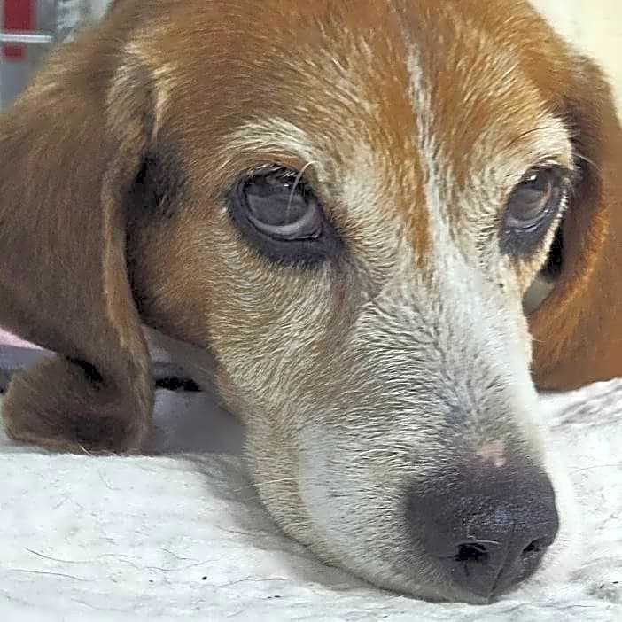 Photo of Stormy