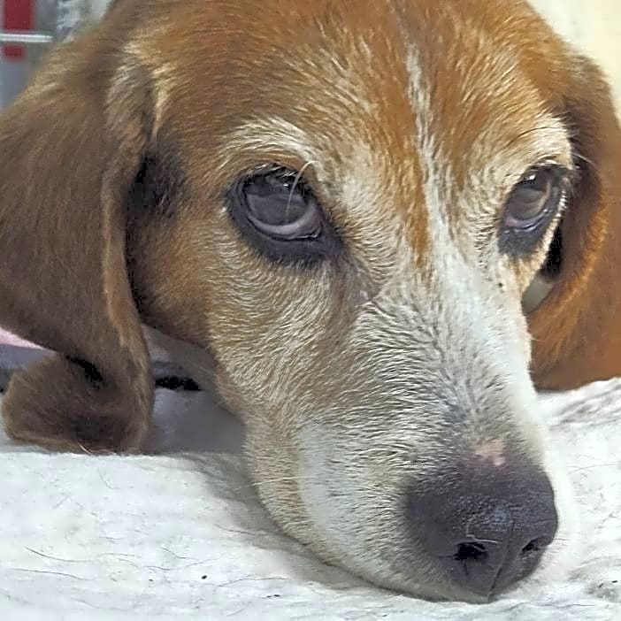 Photo of Stormy