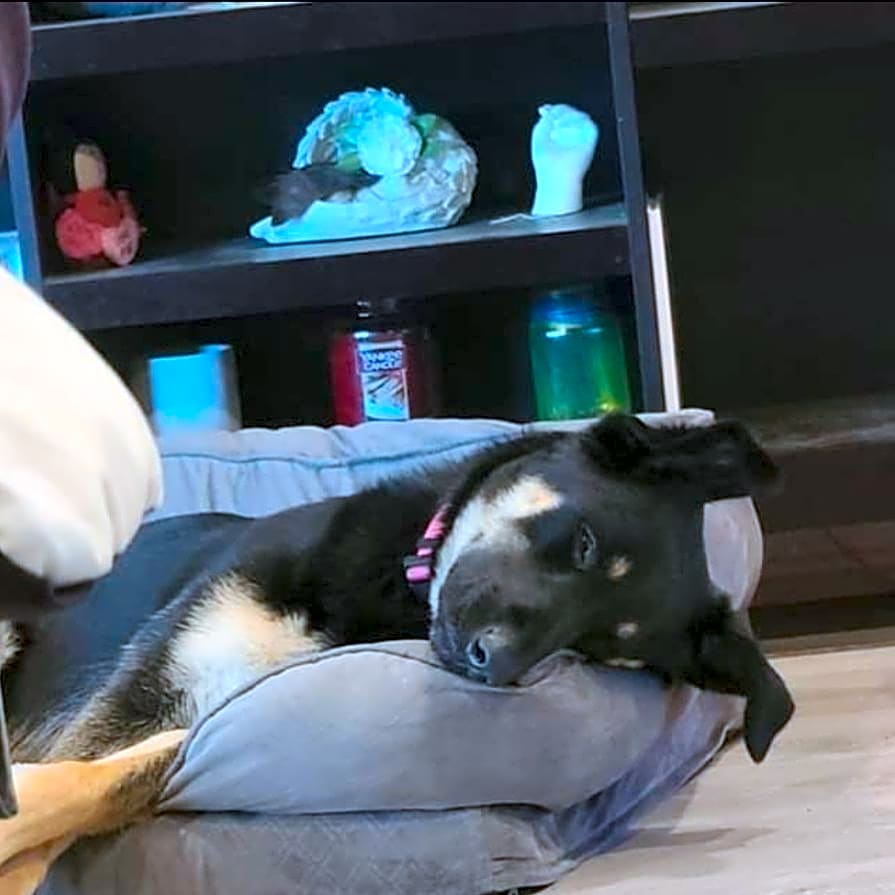 Photo of Athena