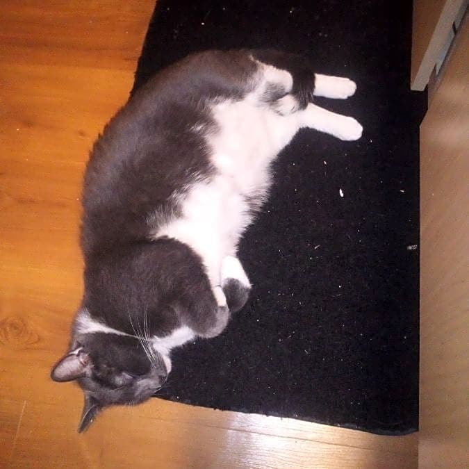 Photo of Storm